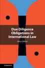 Text: "Due Diligence Obligations in International Law, Alice Ollino." Abstrakte Illustration mit orangen, schwarzen und blauen Formen.