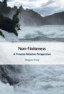 Bingjun Yang: Non-Finiteness, Buch