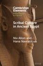 Niv Allon: Scribal Culture in Ancient Egypt, Buch