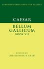 : Caesar: Bellum Gallicum Book VII, Buch