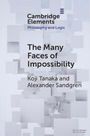 Koji Tanaka: The Many Faces of Impossibility, Buch