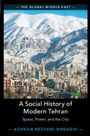 Ashkan Rezvani Naraghi: A Social History of Modern Tehran, Buch