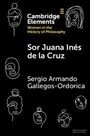 Sergio Armando Gallegos Ordorica: Sor Juana Ines de la Cruz, Buch