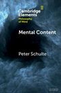 Peter Schulte: Mental Content, Buch