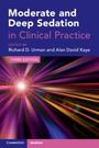 : Moderate and Deep Sedation in Clinical Practice, Buch
