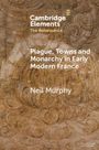 Neil Murphy: Plague, Towns and Monarchy in Early Modern France, Buch
