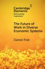 Daniel Friel: The Future of Work in Diverse Economic Systems, Buch