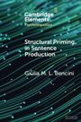 Giulia M. L. Bencini: Structural Priming in Sentence Production, Buch