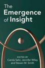 : The Emergence of Insight, Buch