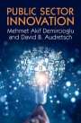 David B. Audretsch: Public Sector Innovation, Buch