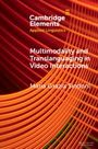 Maria Grazia Sindoni: Multimodality and Translanguaging in Video Interactions, Buch