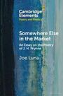 Joe Luna: Somewhere Else in the Market, Buch