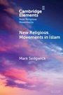 "New Religious Movements in Islam" von Mark Sedgwick, Cambridge Elements. Himmel mit rosafarbenen und blauen Wolken.