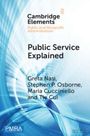 Greta Nasi: Public Service Explained, Buch