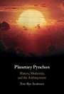 Tore Rye Andersen: Planetary Pynchon, Buch