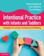 Andi Salamon: Intentional Practice with Infants and Toddlers, Buch