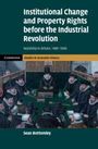 Sean Bottomley: Institutional Change and Property Rights Before the Industrial Revolution, Buch