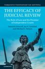 Amanda Driscoll: The Efficacy of Judicial Review, Buch