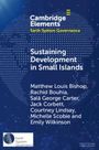 Courtney Lindsay: Sustaining Development in Small Islands, Buch