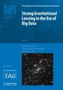 : Strong Gravitational Lensing in the Era of Big Data (Iau S381), Buch