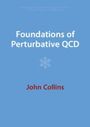 John Collins: Foundations of Perturbative QCD, Buch