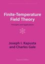 Joseph I Kapusta: Finite-Temperature Field Theory, Buch