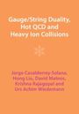 Jorge Casalderrey-Solana: Gauge/String Duality, Hot QCD and Heavy Ion Collisions, Buch