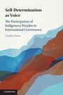 "Self-Determination as Voice: The Participation of Indigenous Peoples in International Governance" von Natalie Jones. Farbliche Bergillustration.