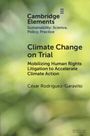 Cesar Rodriguez-Garavito: Climate Change on Trial, Buch