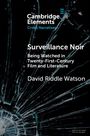 Text: 
Cambridge Elements, Crime Narratives. 
Surveillance Noir: Being Watched in Twenty-First-Century Film and Literature. David Riddle Watson. 

Hintergrund: Zerbrochenes Glas, düsterer Eindruck.