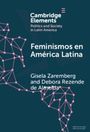 Debora Rezende de Almeida: Feminismos en America Latina, Buch