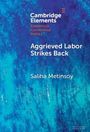 Saliha Metinsoy: Aggrieved Labor Strikes Back, Buch