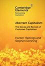 Hunter Hastings: Aberrant Capitalism, Buch