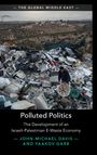 John-Michael Davis: Polluted Politics, Buch