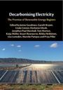 Devleena Ghosh: Decarbonising Electricity, Buch