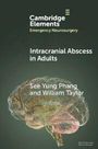See Yung Phang: Intracranial Abscess in Adults, Buch