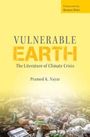 Pramod K. Nayar: Vulnerable Earth, Buch