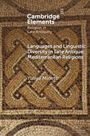 Titel: Languages and Linguistic Diversity in Late Antique Mediterranean Religions. Autor: Yuliya Minets. Muster aus Mosaik.