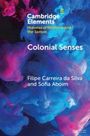 Filipe Carreira Da Silva: Colonial Senses, Buch