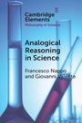Francesco Nappo: Analogical Reasoning in Science, Buch