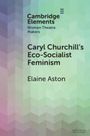 Elaine Aston: Caryl Churchill's Eco-Socialist Feminism, Buch