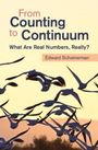 Edward Scheinerman: From Counting to Continuum, Buch