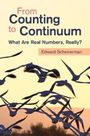 Edward Scheinerman: From Counting to Continuum, Buch