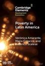 Federico Scalese: Poverty in Latin America, Buch