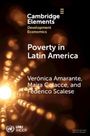 Federico Scalese: Poverty in Latin America, Buch