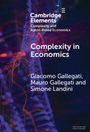 Giacomo Gallegati: Complexity in Economics, Buch
