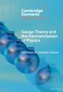 Henrique de Andrade Gomes: Gauge Theory and the Geometrisation of Physics, Buch