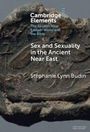 Titel: "Sex and Sexuality in the Ancient Near East" von Stephanie Lynn Budin. Hintergrund: Verzierter Stein.