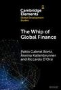 „Cambridge Elements: Global Development Studies: The Whip of Global Finance“ von Pablo Gabriel Bortz, Annina Kaltenbrunner, Riccardo D'Orsi. Abstrakte Linien unten links.