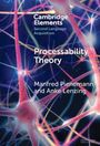 Anke Lenzing: Processability Theory, Buch